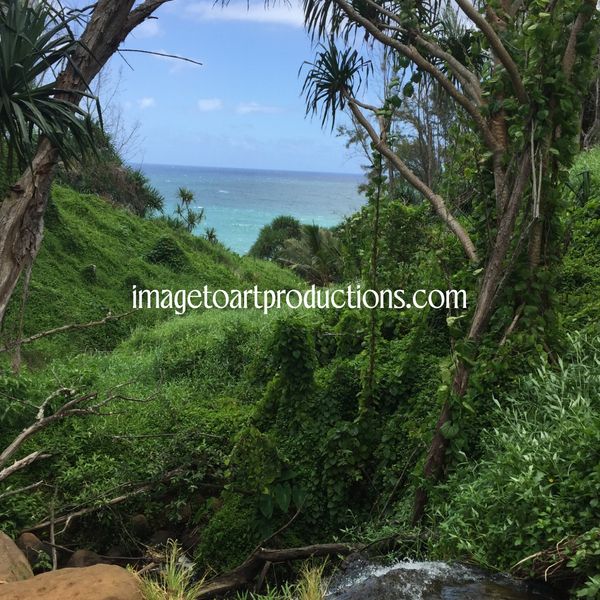 Hawaii Vegetation