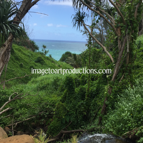 Hawaii Vegetation!