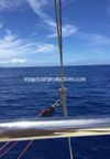 On the Pacific