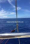 On the Pacific, Hawaii