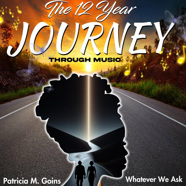 The 12 Year Journey Through Music - CD