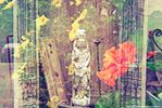 Distance 30 minute reiki session