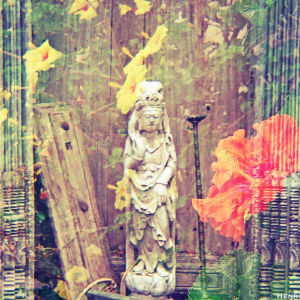 Distance 30 minute reiki session