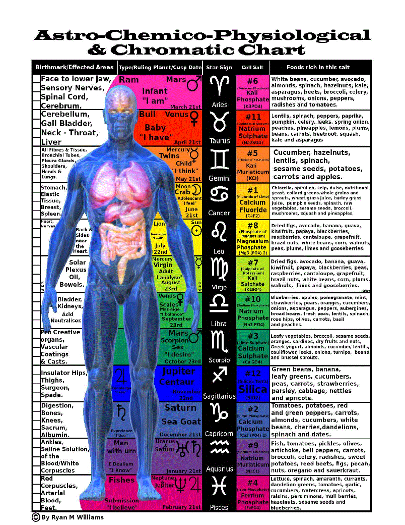 Vertical Astrological, Chemical, Physiological & Chromatic Chart
