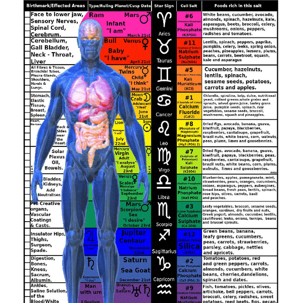 Vertical Astrological, Chemical, Physiological & Chromatic Chart