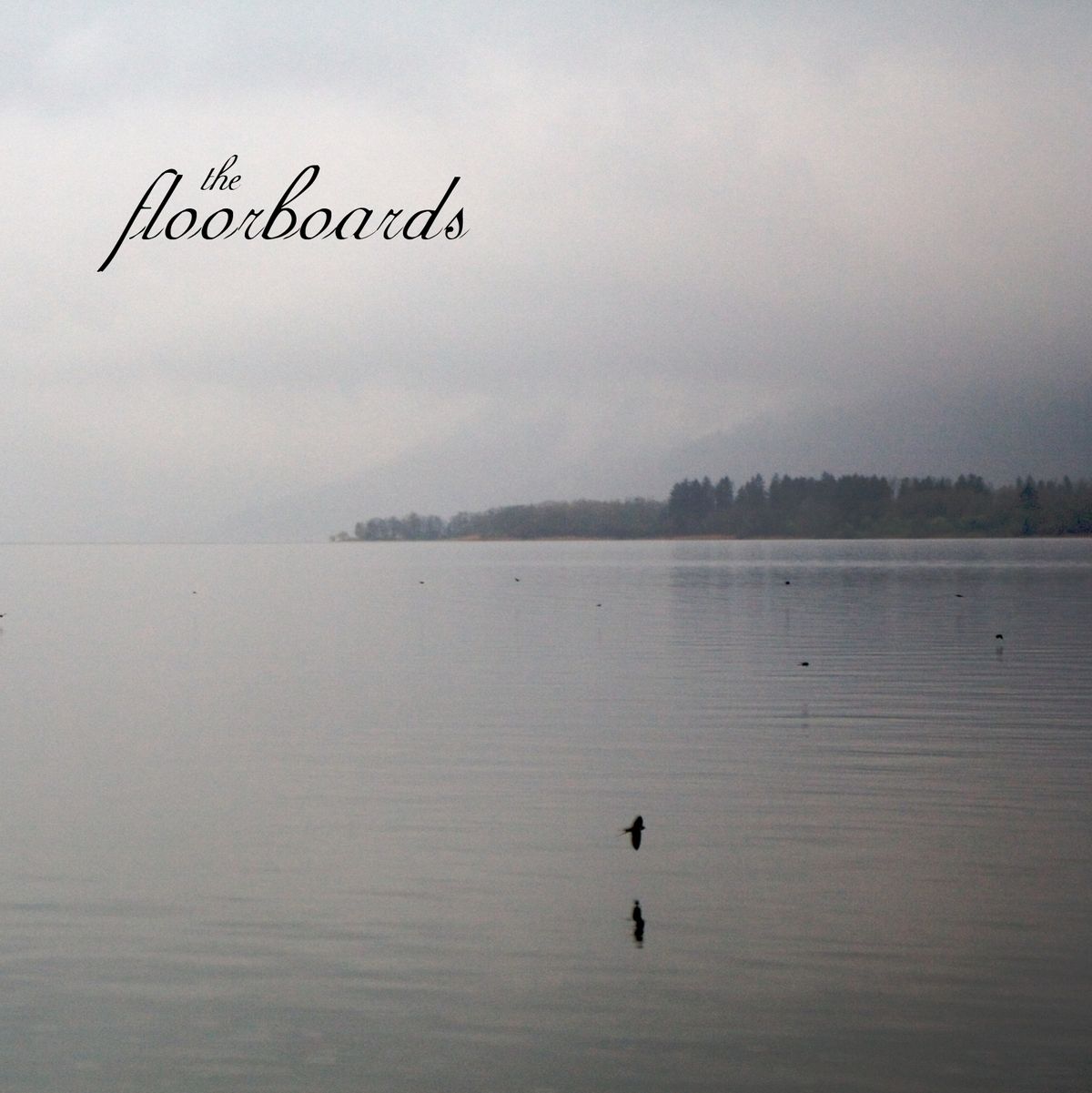 the Floorboards - CD