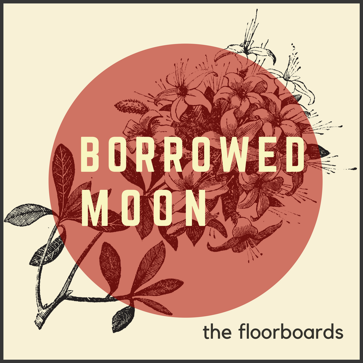 Borrowed Moon - CD