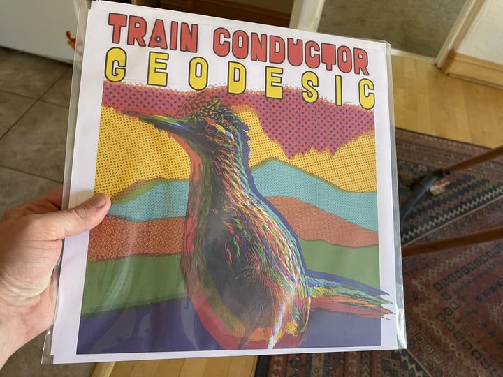 Geodesic - Vinyl