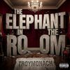 The Elephant in the Room