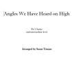 Angels We Have Heard on High (2 harps)