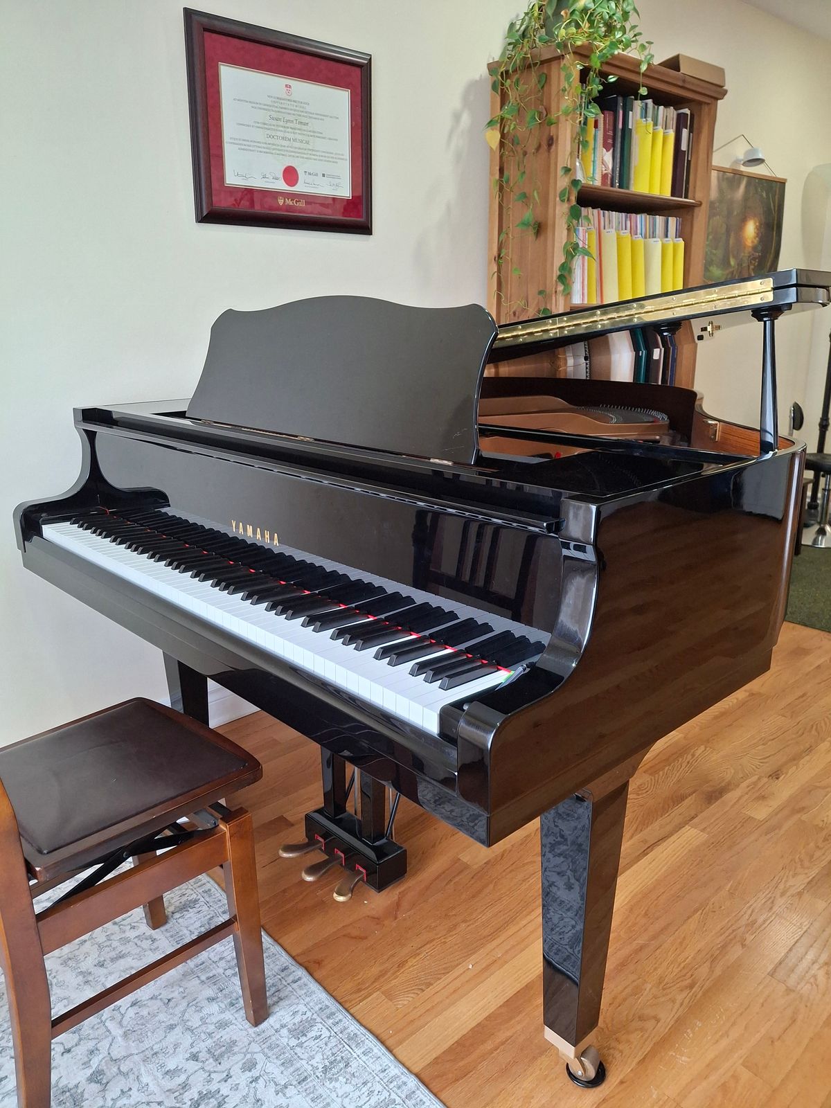 Virtual Masterclass: Piano