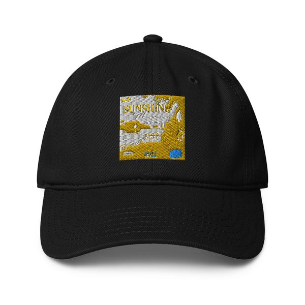 Low Profile Baseball Cap | Otto Cap 18-253