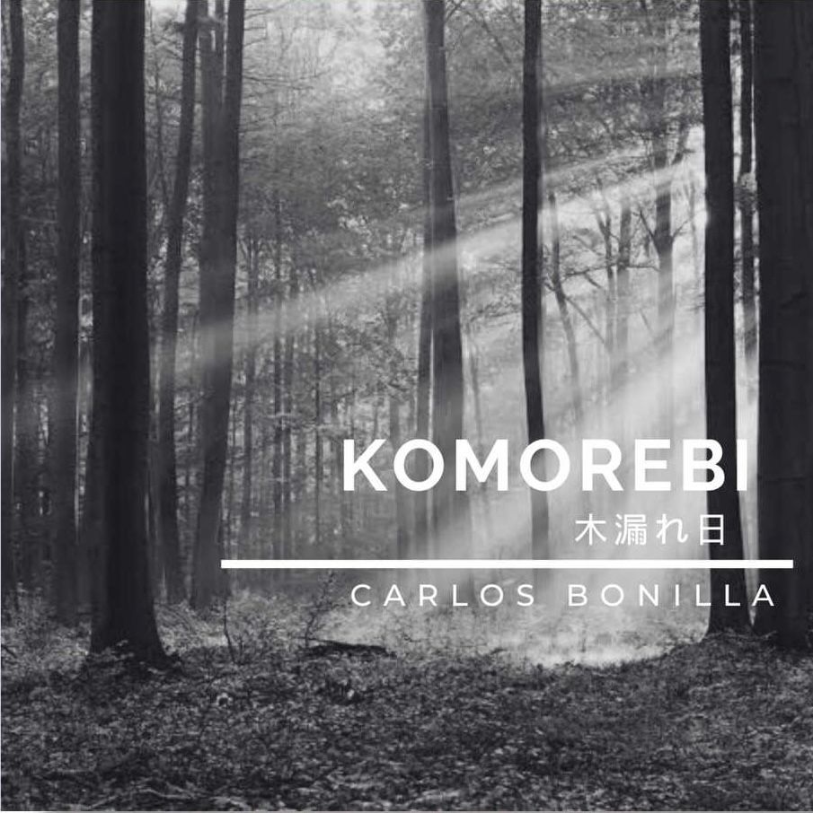 Komorebi (木漏れ日)