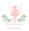 Wish Dance - "Littlest Nutcracker" (SAT 12/20/25) Video DVD or USB Drive