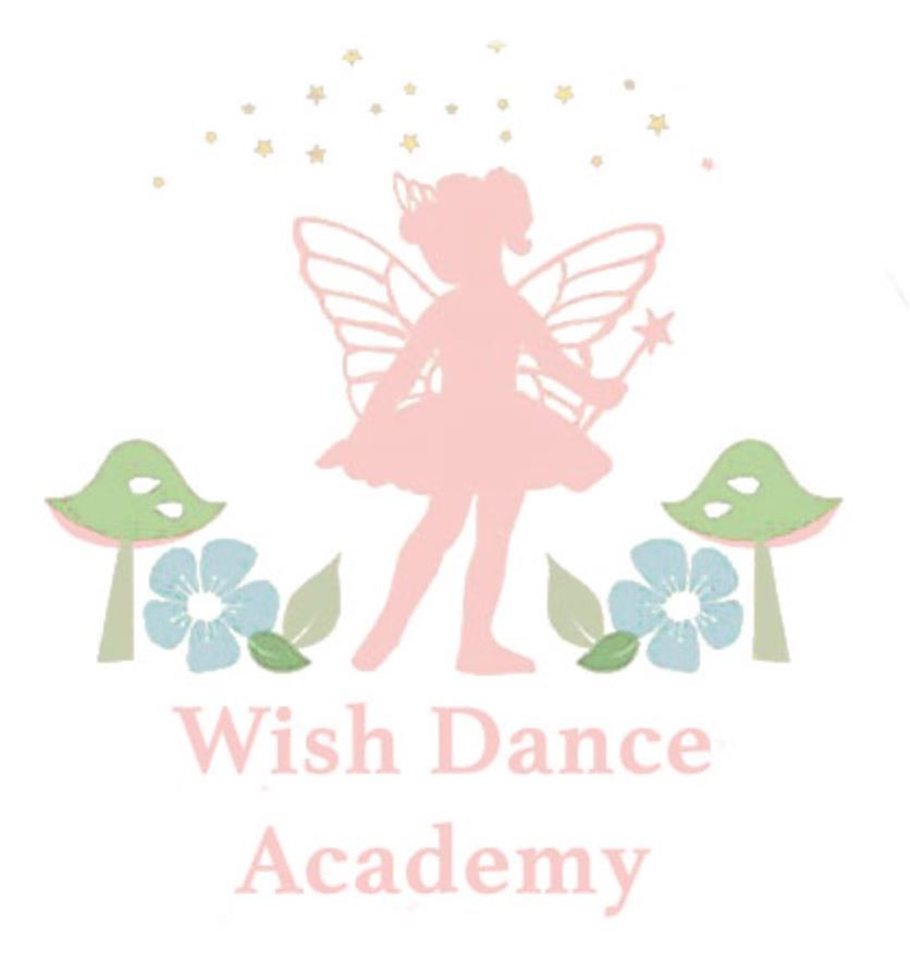 Wish Dance - "Littlest Nutcracker" (SAT 12/20/25) Video DVD or USB Drive