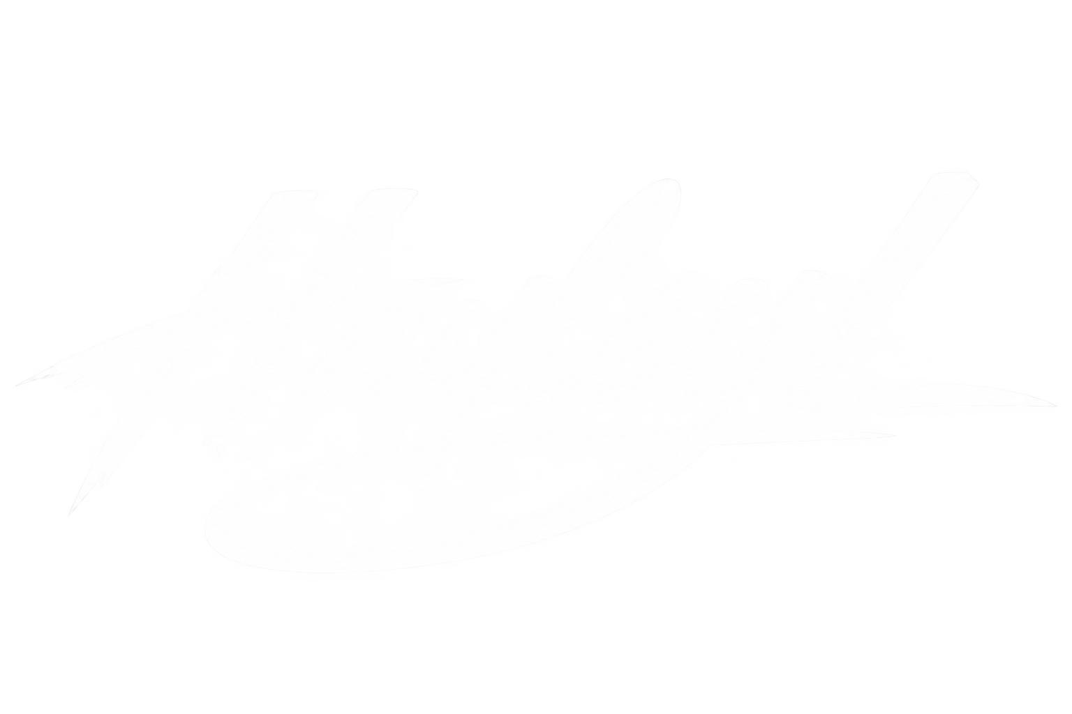 Hayley L