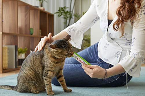 Inaba Grain Free Tube Treat ,"Kitty crack
