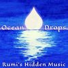 Rumi's Hidden Music - CD Pre-order