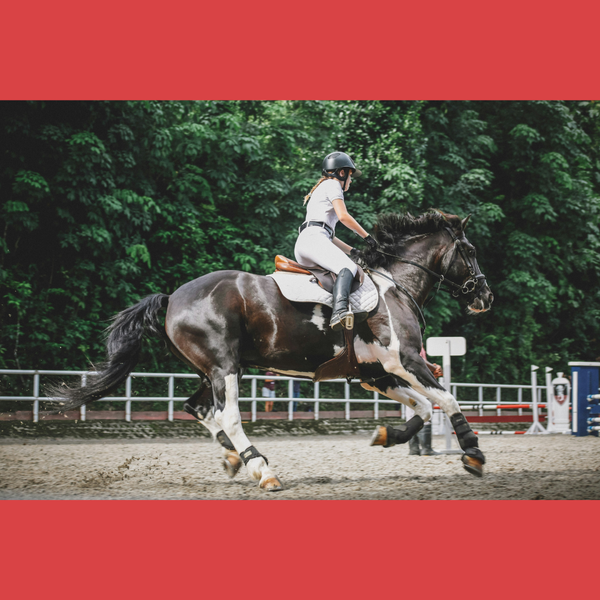 Sleep hypnosis - Getting back in the saddle