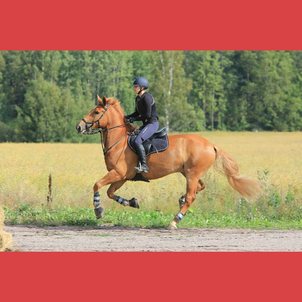Sleep hypnosis - Getting comfortable with uncertainty when riding