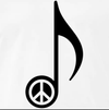 Introductory Guitar Lessons (Singing/Songwriting)
