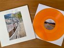 Fences - Vinyl