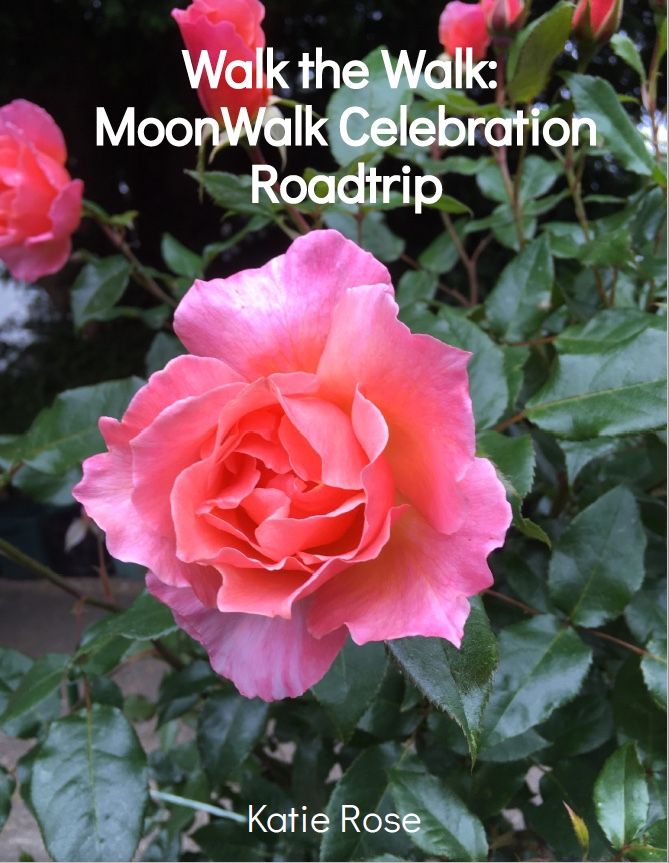 MoonWalkRoadTrip Diary