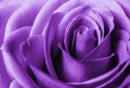Reiki