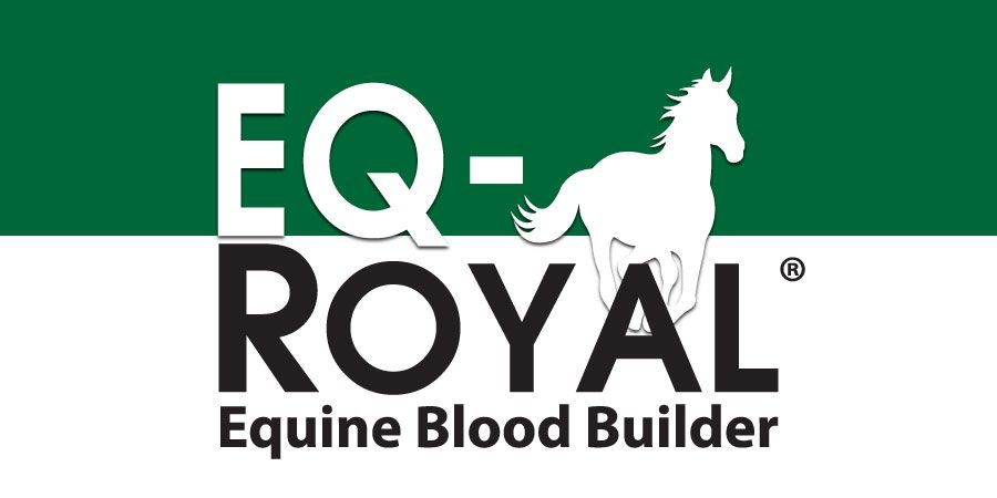 EQ Royal 12 jars