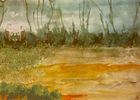 Landscape Series - Rainfall