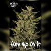 Mendo Dope Poster Collection - Autographed