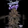 Mendo Dope Poster Collection - Autographed