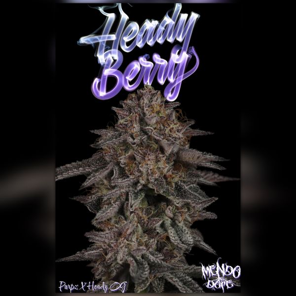Mendo Dope Poster Collection - Autographed