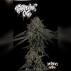 Mendo Dope Poster Collection - Autographed