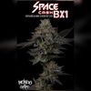 Mendo Dope Poster Collection - Autographed