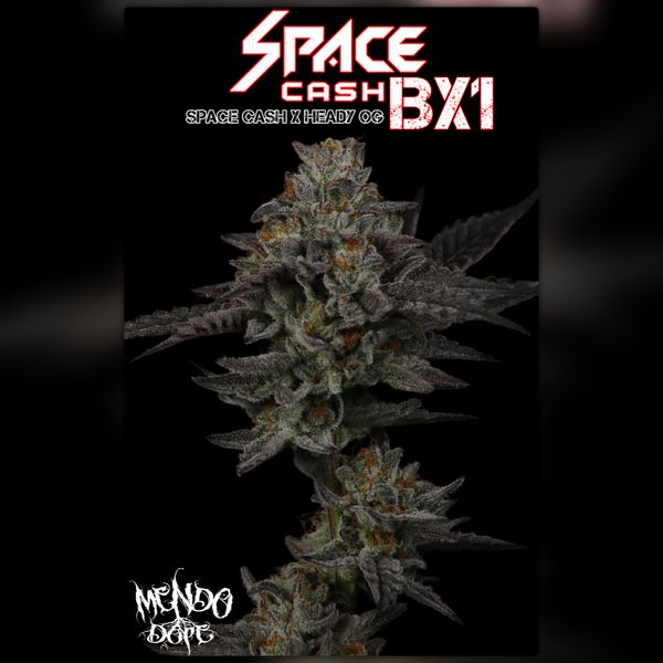 Mendo Dope Poster Collection - Autographed