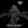 Mendo Dope Poster Collection - Autographed