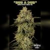 Mendo Dope Poster Collection - Autographed