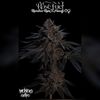 Mendo Dope Poster Collection - Autographed