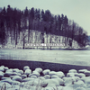 Barren Run (Single 2015)