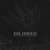 Dark Countries - Bob Spring & the Calling Sirens - Vinyl
