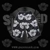 SDE Shorts