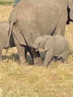 Kenya Tour Deposit