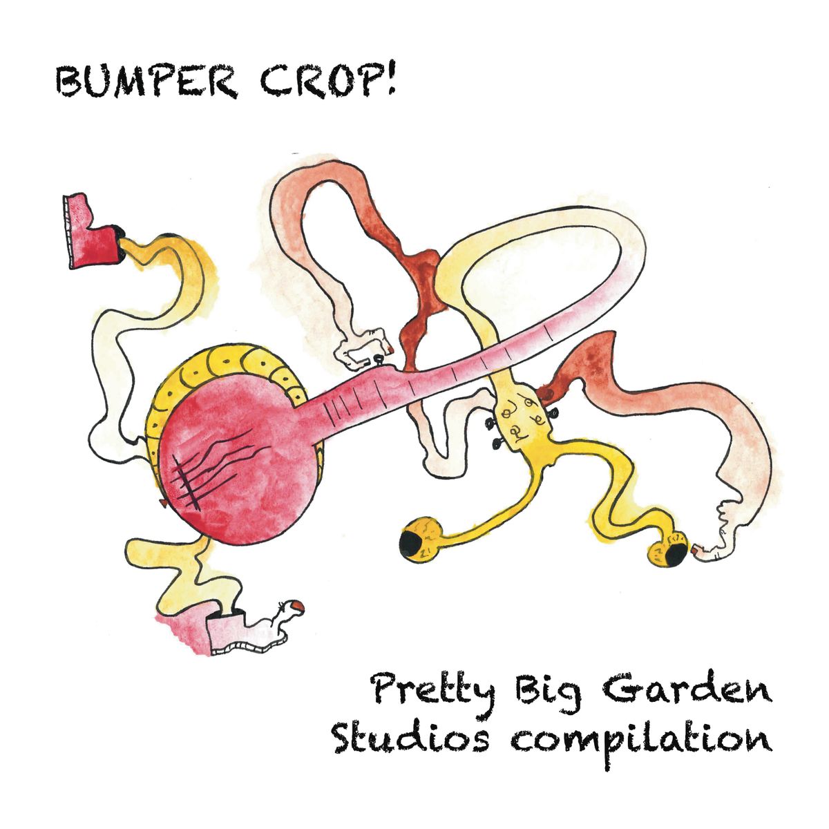 BUMPER CROP! Pretty Big Garden Studios compilation CD (Compact Disc) PREORDER