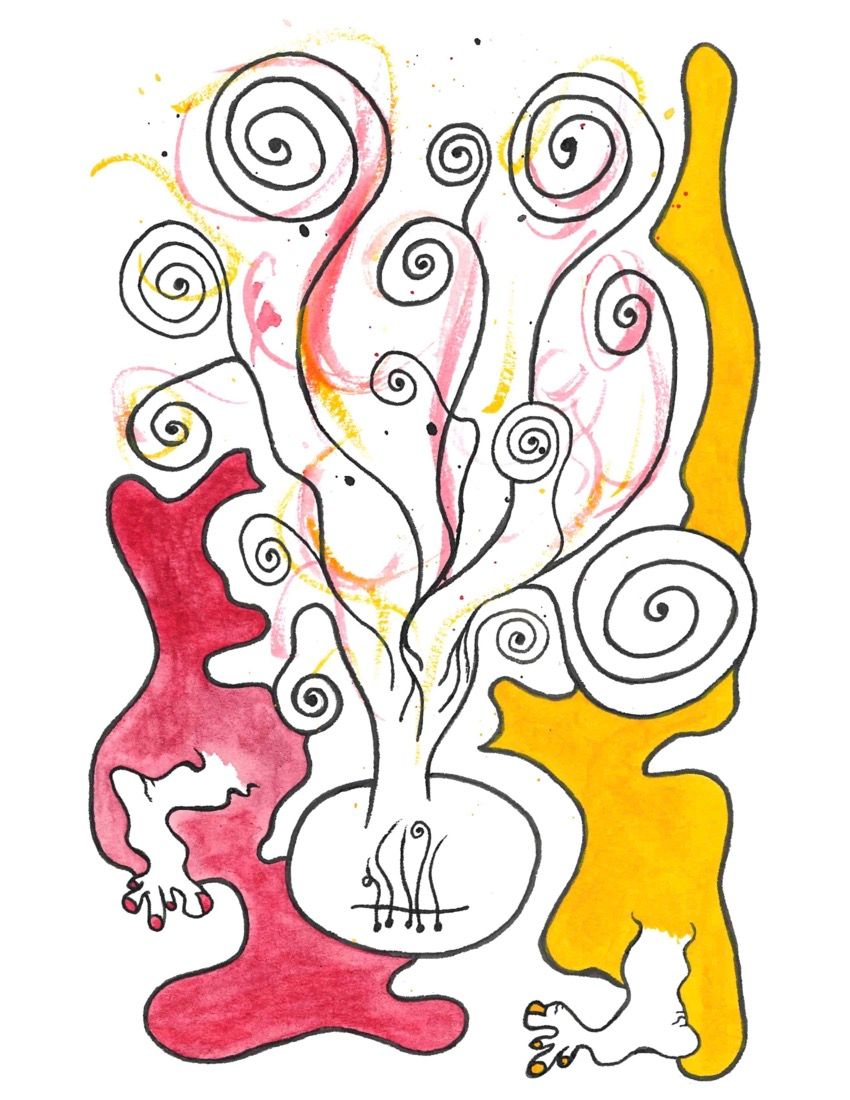 Fibowha? - Watercolor Banjocolor Print