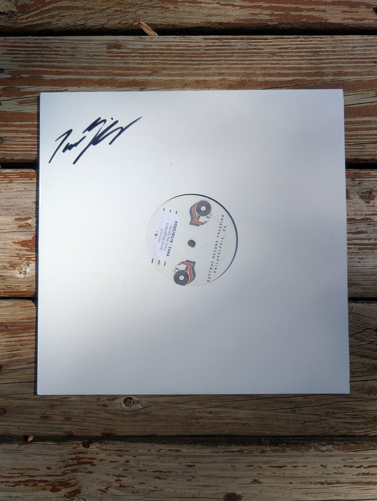 Vinyl Test Pressing - Everything & Nothing (the last one)
