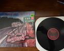 #539 Murder Junkies - Road Killer LP - #539 MURDER JUNKIES - ROAD KILLER LP