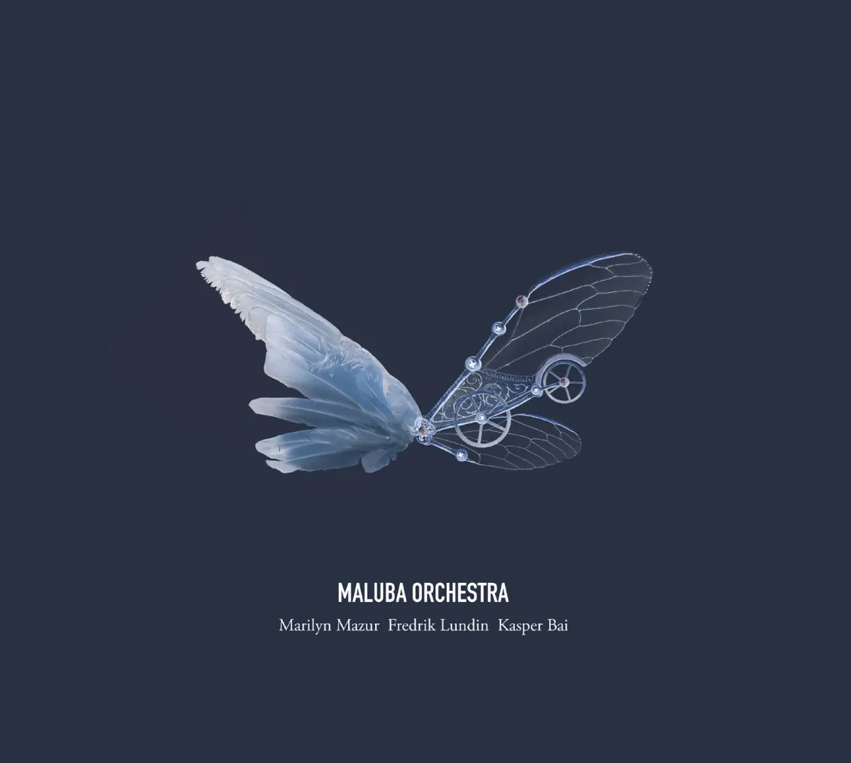 Maluba Orchestra - Vinyl