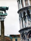 Wolf and Tower