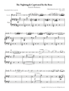 Rimsky-Korsakov - The Nightingale Captivated by the Rose (transcribed for cello and piano)
